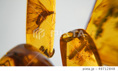 Amber stone. Authentic Baltic amber with 49712848