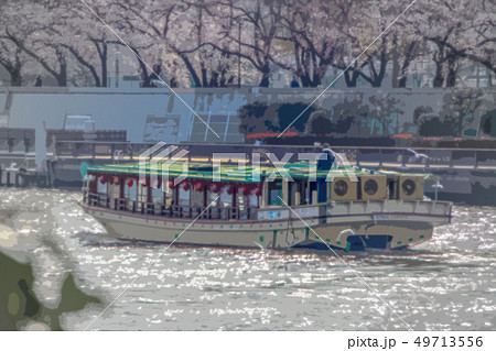 屋形船と水鳥と桜 浅草の風景 隅田川のイラスト素材
