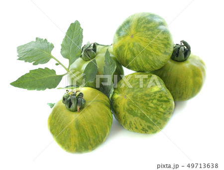 green zebra tomatoes green zebra tomatoes 49713638