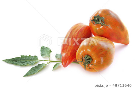 San Marzano tomatoes San Marzano tomatoes 49713640