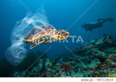 Underwater global problem with plastic rubbishの写真素材 [49713914] - PIXTA