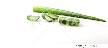 Aloe Vera On White Background Aloe Vera On White Background 49716282