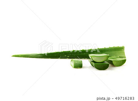 Aloe Vera On White Background 49716283