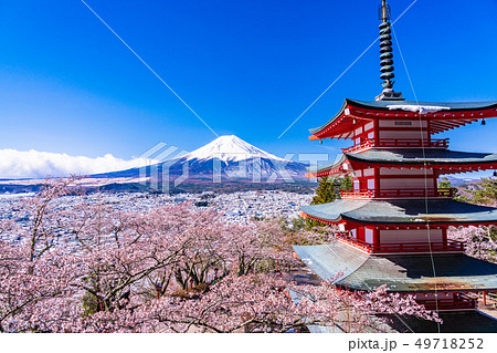 （山梨県）日本の美・桜と雪・新倉山浅間公園から望む富士山 49718252