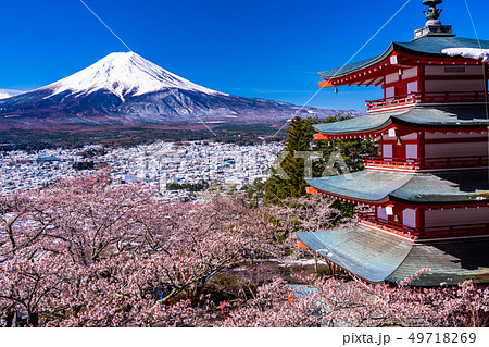 (山梨県)日本の美・桜と雪・新倉山浅間公園から望む富士山 (山梨県)日本の美・桜と雪・新倉山浅間公園から望む富士山 49718269