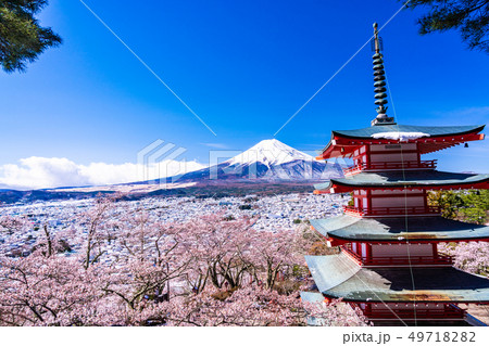 （山梨県）日本の美・桜と雪・新倉山浅間公園から望む富士山 49718282