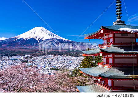 （山梨県）日本の美・桜と雪・新倉山浅間公園から望む富士山 49718289