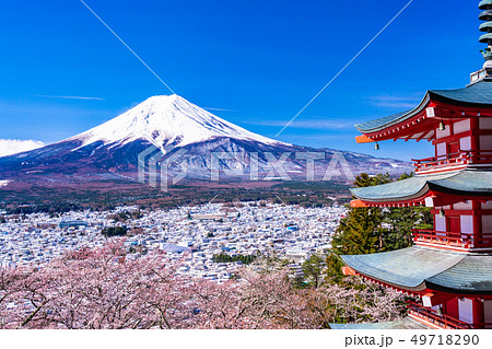 （山梨県）日本の美・桜と雪・新倉山浅間公園から望む富士山 49718290