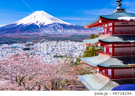 （山梨県）日本の美・桜と雪・新倉山浅間公園から望む富士山 49718294