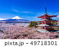 （山梨県）日本の美・桜と雪・新倉山浅間公園から望む富士山 49718301