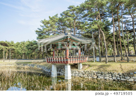 慶北 松 ウォルソンジョン 49719505