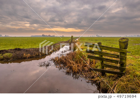 Polder landscape under cloudy sky 49719694