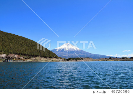 田貫湖と富士山(静岡県) 田貫湖と富士山(静岡県) 49720596