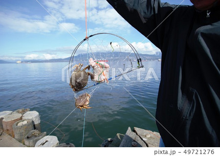 ジェリコ ビーチで見た風景 海 蟹とり Crab fishing ジェリコ ビーチで見た風景 海 蟹とり Crab fishing 49721276
