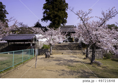倉敷市玉島 玉島柏島 松嶽寺福寿院 倉敷市玉島 玉島柏島 松嶽寺福寿院 49721648