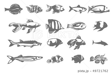 Vector Hand drawn sketch of fish illustration on white background Vector Hand drawn sketch of fish illustration on white background 49721762