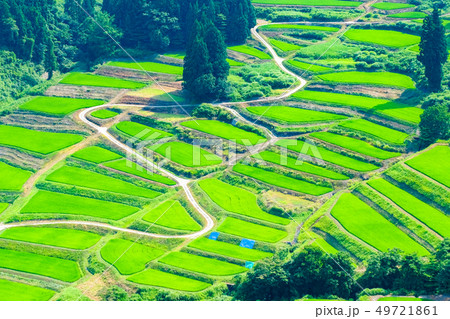 慶地の棚田 （７月） 49721861