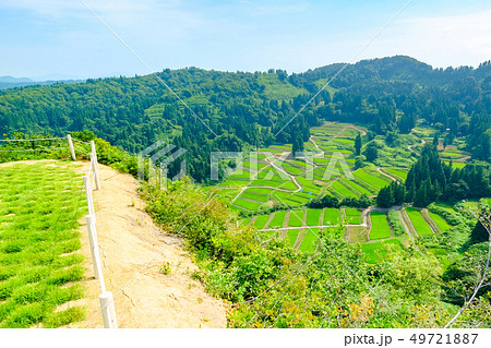 慶地の棚田 （７月） 49721887