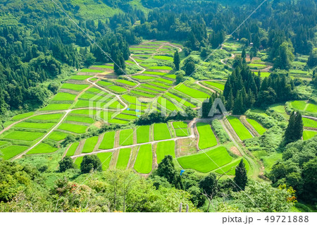 慶地の棚田 （７月） 49721888