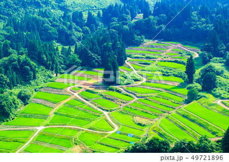 慶地の棚田 (7月) 慶地の棚田 (7月) 49721896