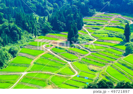 慶地の棚田 （７月） 49721897