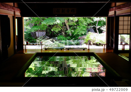 寿福寺の逆さ新緑 49722009