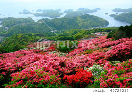長串山公園のつつじ 49722012