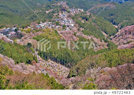 【吉野山の桜】 奈良県吉野郡吉野町吉野山 49722463