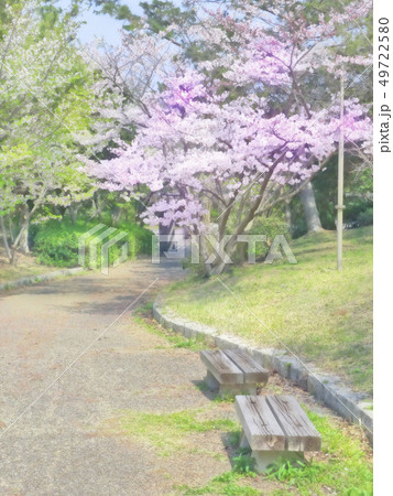 お花見　桜とベンチ 49722580