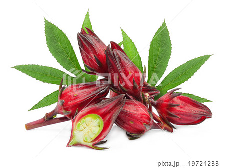 fresh roselle with leaf isolated on white 49724233