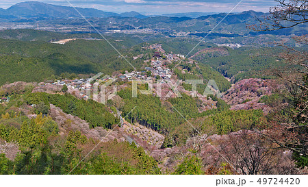 【吉野山の桜】 (高解像度版) 奈良県吉野郡吉野町吉野山 【吉野山の桜】 (高解像度版) 奈良県吉野郡吉野町吉野山 49724420