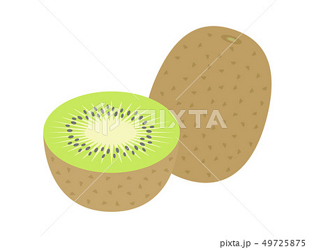 キウイフルーツのイラスト素材