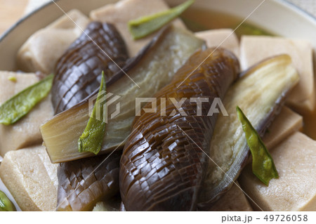 茄子と高野豆腐の煮浸し 茄子と高野豆腐の煮浸し 49726058