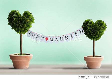 ハートの木 2鉢 結婚 ハートの木 2鉢 結婚 49726656