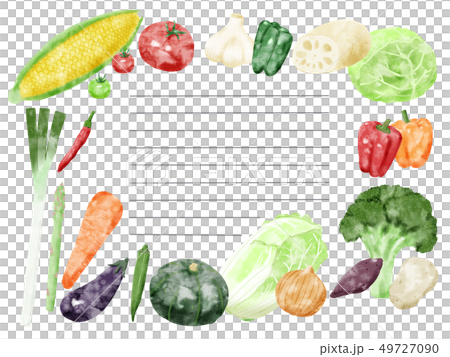 Vegetable frame ruled line material 49727090