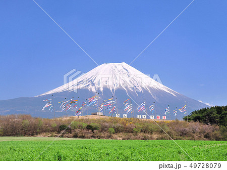 鯉のぼりと富士山-9196 49728079