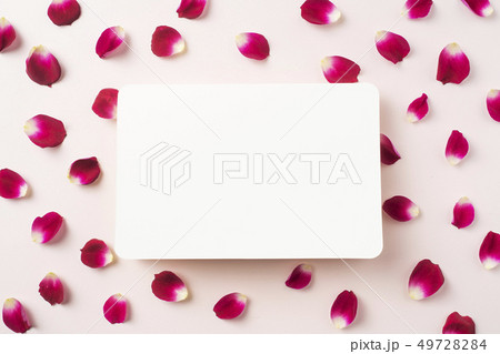 top view of red rose petal with white card 49728284