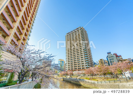 日本の春 目黒川 大崎周辺の桜 49728839