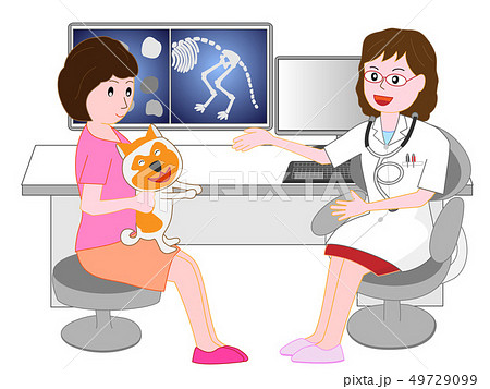 ペットの犬や猫を動物病院の医者に診察してもらう。 49729099