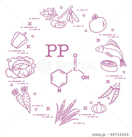 Foods rich in vitamin PP 49732024