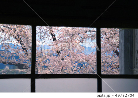 歪んだガラス窓越の桜 49732704