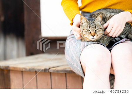 女子旅 尾道 膝の上で眠る猫の写真素材