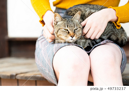 女子旅 尾道 膝の上で眠る猫の写真素材