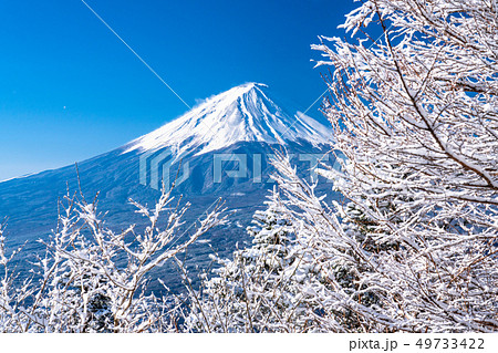 《山梨県》日本の冬・富士山と霧氷 《山梨県》日本の冬・富士山と霧氷 49733422