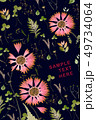 Pressed and dried summer red bohemian flowers with plants on a black 49734064