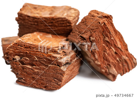 pine bark for priming bromeliad orchid filler pine bark for priming bromeliad orchid filler 49734667