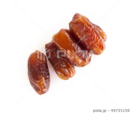 Date palm isolated on white blackground Date palm isolated on white blackground 49735156