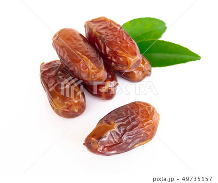 Date palm isolated on white blackground 49735157