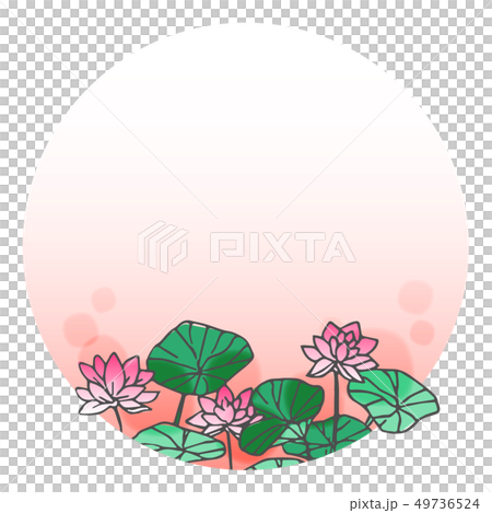 Lotus frame 1 49736524
