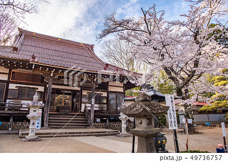 山梨県北杜市　実相寺　本堂 49736757